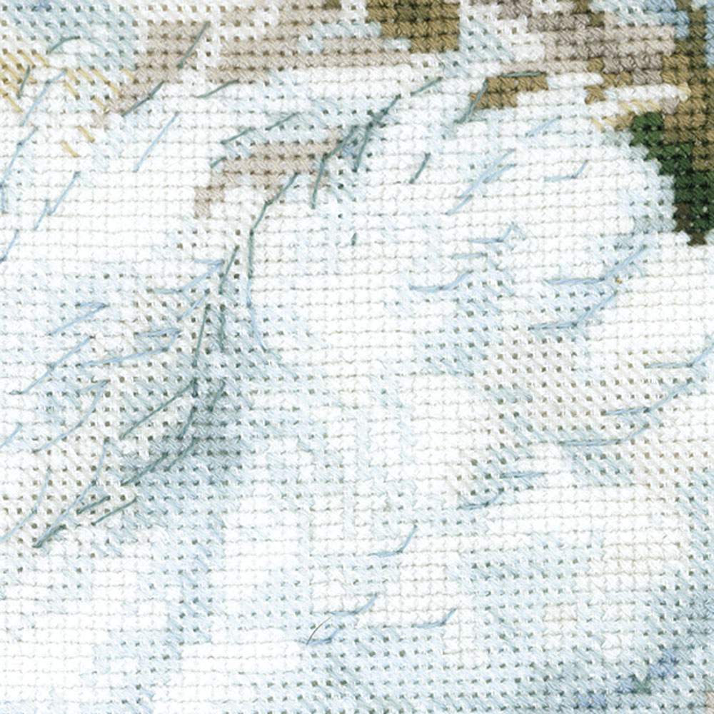 1726 «Белые лебеди». Фото N3