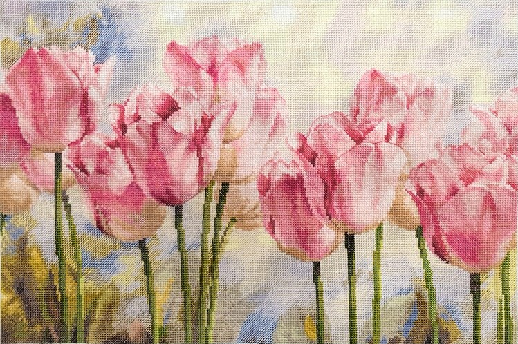 2-37 Розовые тюльпаны (Алиса)