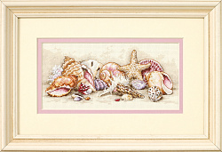 65035 Морские сокровища (Seashell Treasures)