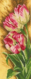PN-0144533 Тюльпаны (Lanarte)