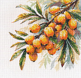 1734 «Веточка облепихи» (Овен)