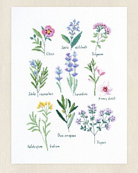 BK1978 Herbs (DMC)