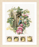 PN-0008031 Птичий домик в розах (Lanarte)