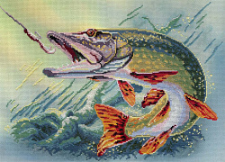 РК-334 Щука (М.П. Студия)