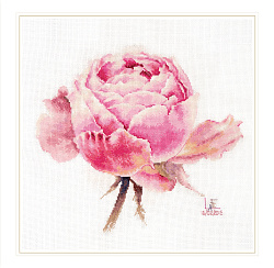 2-53 Акварельные розы. Розовая изысканная (Алиса)