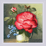 РТ-0105 «Роза пышная»