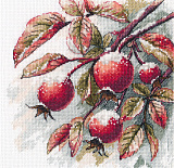 1735 «Зимние грёзы» (Овен)
