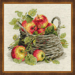 1450 «Спелые яблоки»