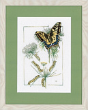 PN-0021872 Рождение бабочки (Lanarte)