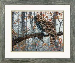 35311 Мудрая сова (Wise Owl)