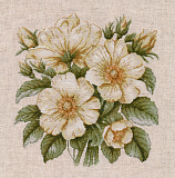 1731 «Дикий шиповник» (Овен)