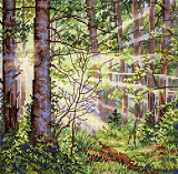 НВ-1004 Солнечный лес (М.П. Студия)