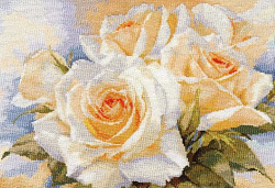 2-32 Белые розы (Алиса)