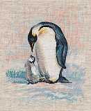 1606 «Пингвины» (Овен)