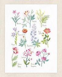 BK1989 Botanical Sampler (DMC)