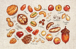 B1165 Орехи и семена (Luca-S)