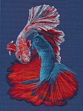 1607 «Бойцовые рыбки» (Овен)