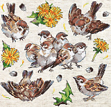 L8803 Sparrows (LETISTITCH)