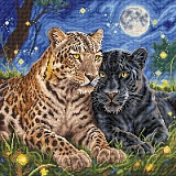 P160 The Night of the Felines (AVA Stitch)