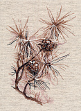 1662 «Ветка сосны» (Овен)