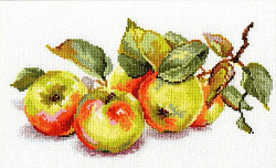 5-09 Яблоки (Алиса)
