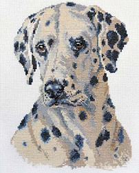 1-05 Далматин (Алиса)