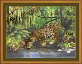 РТ-0023 «Леопард у воды»