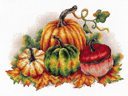 НВ-789 Разноцветные тыквы (М.П. Студия)